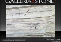 Corteccia