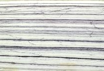 ZEBRINO VIOLA