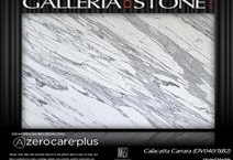 Calacatta Carrara