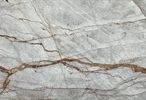 GREY ROOTS