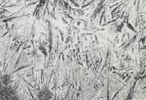 Ice Flakes