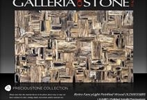 Retro Fancylight Petrified Wood
