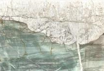 Patagonia Green "Wow"
